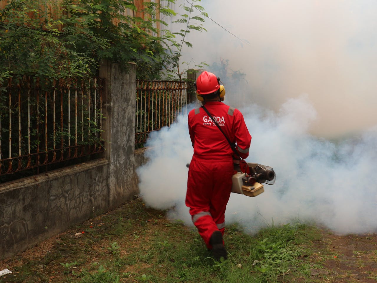 heros-img A pest control worker fogging in an outdoor space with smoke to eliminate pests.